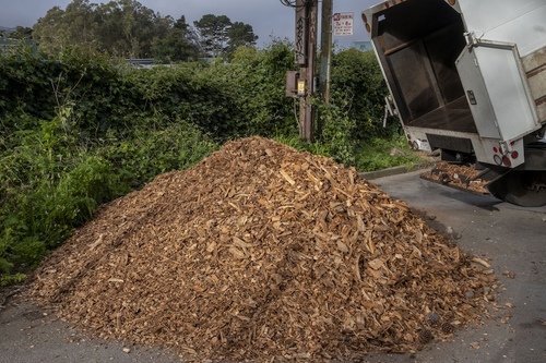 Renewing the Landscape: Fresh Delivery of Wood Chips for Mulching