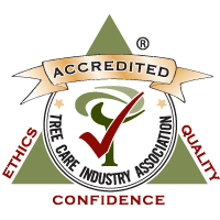 Tree Care Industry Association