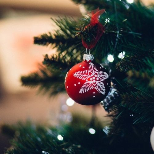 Close Up Of Christmas Tree 257909 (1)