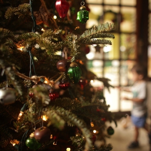 Selective Focus Photography Of Christmas Tree Near Boy 3186667 (1)