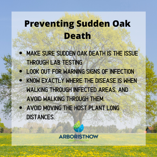 Preventing Sudden Oak Death