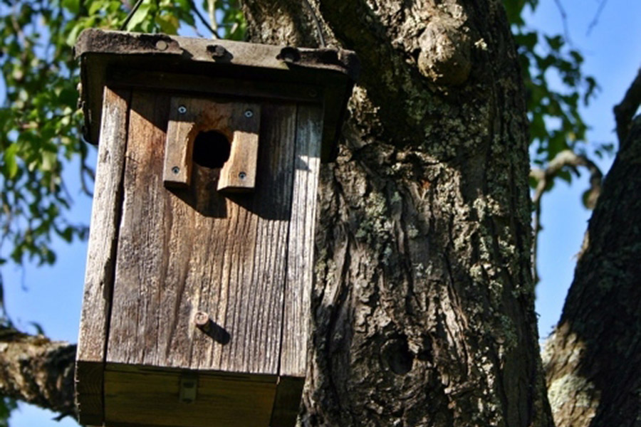 Birdhouse Branch Log Nest