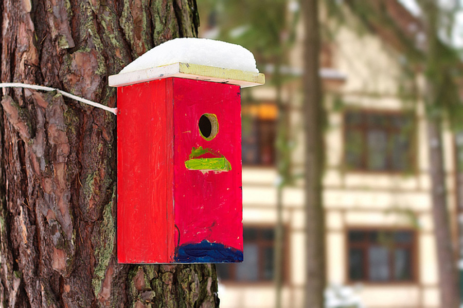 Redbirdhouse