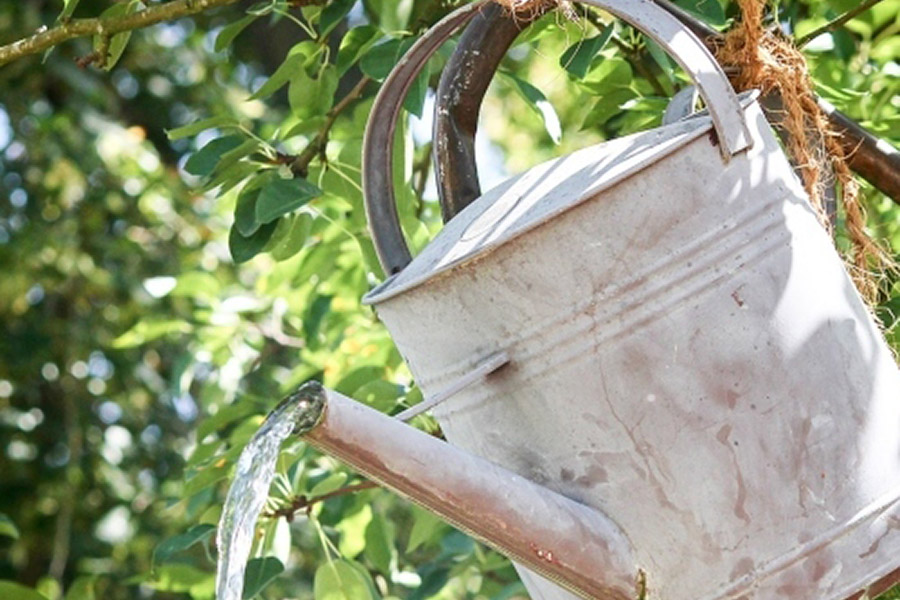 Watering Can