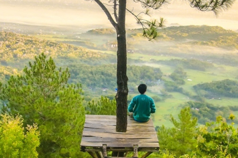 Man Sitting Under The Tree