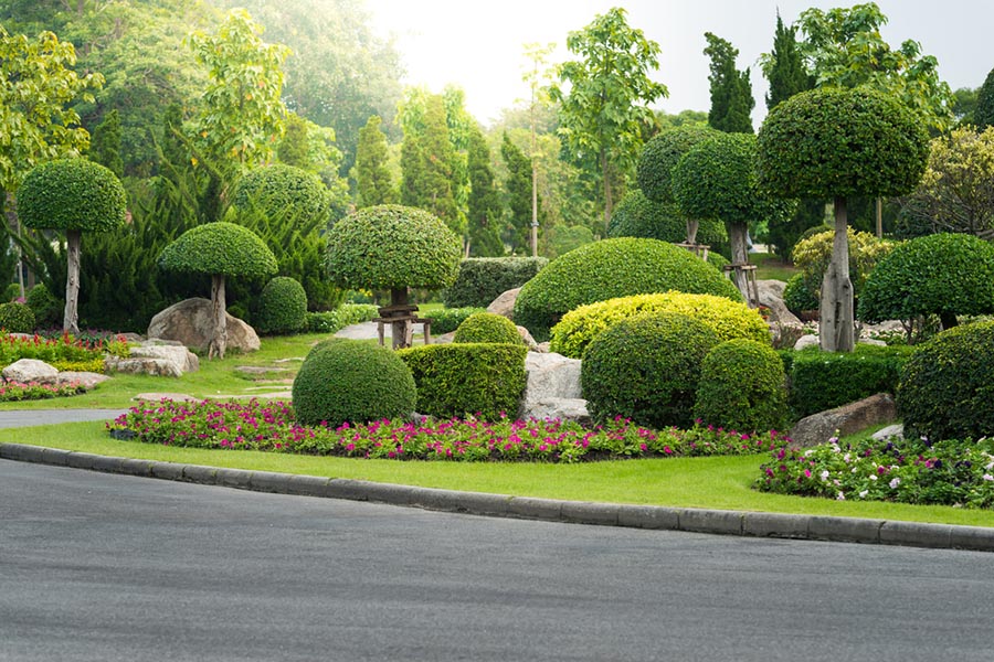 Trees Landscaping2