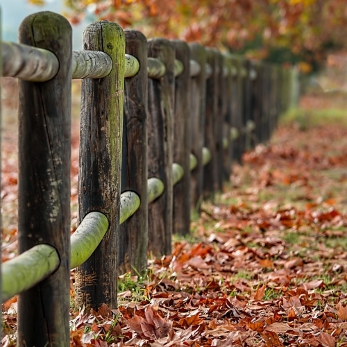 Fence Posts 2331414 1280 (1)