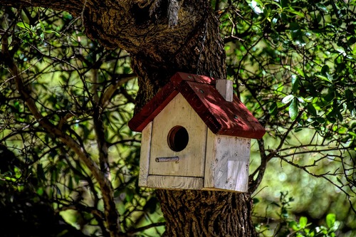 Birdhouse Decorating Tree 2