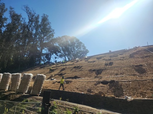 Retaining Wall Sf Bay Area