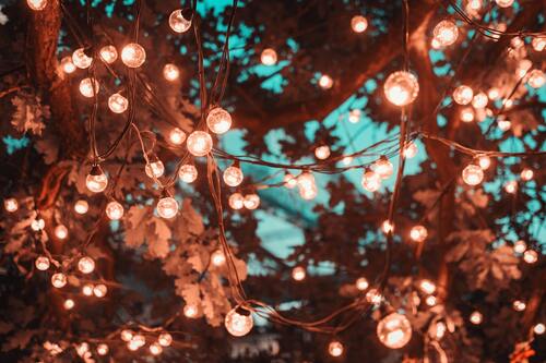 Lights In Tree