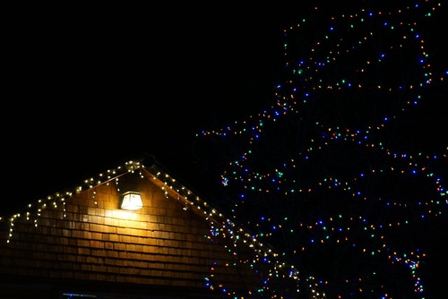 Christmas Holiday Lights In Tree