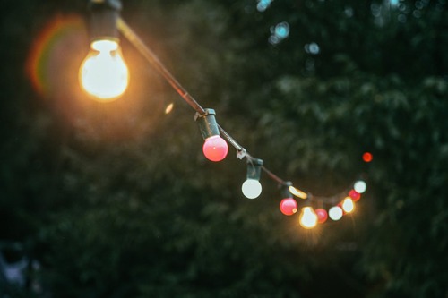 Lights Strung Up In Trees