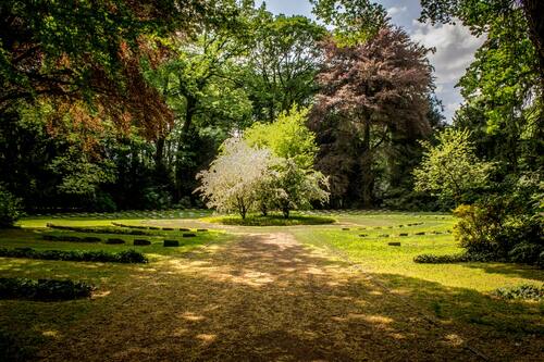 Properly Mulched Landscape 2