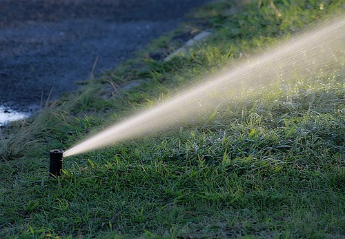 Sprinkler Vs Drip Irrigation