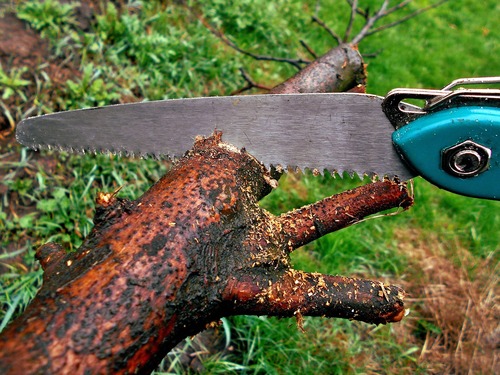 Pruning Tree   Risky Technique