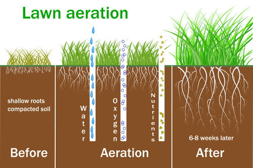 Soil Aeration