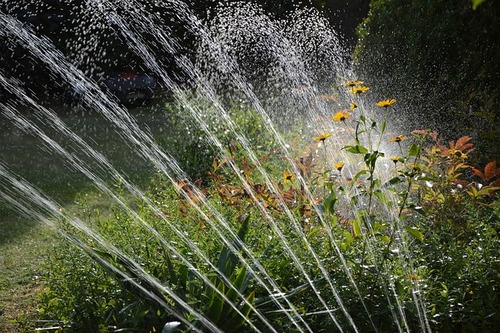 Irrigation   Sprinkler