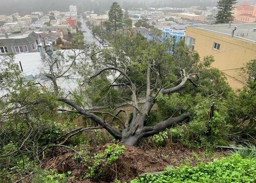 Storm Damage To Roof During Storm Sf Bay