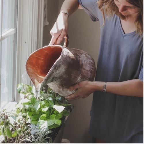 Watering Plants