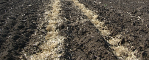 Patterns of Growth: Strategic Vertical Mulching in Agriculture