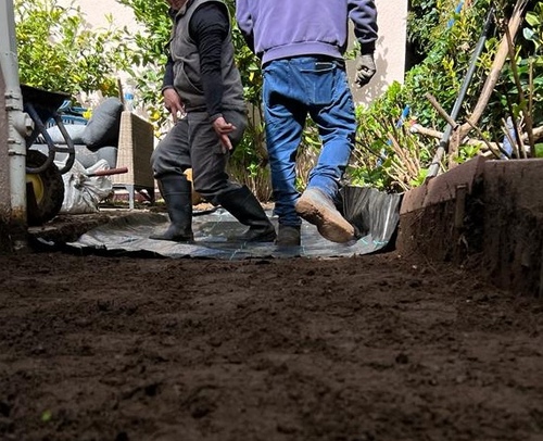 Cultivating Wellness: Gardeners Enhancing Soil Health