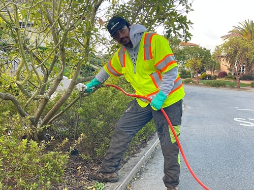 Garden Maintenance: Ensuring Plant Health with Proper Hydration